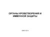 Органы кроветворения и иммунной защиты