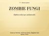 Zombie Fungi. Ophiocordyceps unilateralis