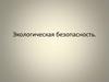 Экологическая безопасность