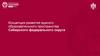 Развитие единого образовательного пространства в Сибирском федеральном округе