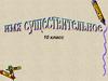 Имя существительное. 10 класс