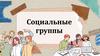 Социальные группы. Функции социальных групп