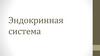 Эндокринная система