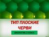 Тип Плоские черви  (8 класс)