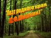 Поэт родного края (С.Ф. Шишкин)