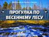 Прогулка по весеннему лесу