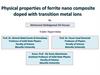 Physical properties of ferrite nanocomposite doped with transition metal ions