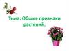 Общие признаки растений  (урок 2)
