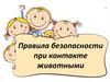 Правила безопасности при контакте с животными