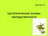 Цитологические основы наследственности. Занятие 10