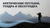 Арктические пустыни, тундра и лесотундра