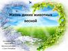 Жизнь диких животных весной
