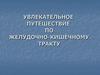 Увлекательное путешествие по желудочно-кишечному тракту