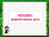 Человек: рефлекторная дуга