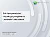 Восьмеричная и шестнадцатеричная системы счисления