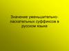 Значение уменьшительно-ласкательных суффиксов в русском языке