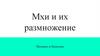 Мхи и их размножение. Половое и бесполое