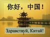 你好 中国