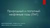 Природный и попутный нефтяные газы (ПНГ)