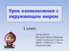 Урок ознакомления с окружающим миром. Наши помощники – органы чувств  (1 класс)