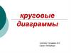 Круговые диаграммы