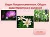 Отдел Покрытосеменные. Общая характеристика и значение