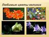 Любимые цветы великих