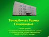 Темирбекова Ирина Геннадиевна. Учитель физики