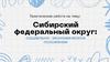 Сибирский федеральный округ: социально-экономическое положение