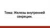 Железы внутренней секреции