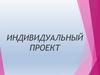 Индивидуальный проект. Классификация проектов