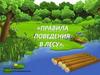 Правила поведения в лесу