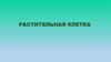 Растительная клетка. Общая характеристика растительной клетки