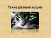 Такие разные кошки