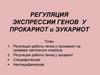Регуляция экспрессии генов у прокариот и эукариот