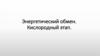 Энергетический обмен. Кислородный этап