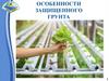 Особенности защищенного грунта