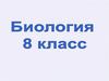 Типы тканей и их свойства. Биология. 8 класс