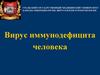 Вирус иммунодефицита человека