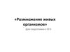 Размножение живых организмов. Для подготовки к ЕГЭ