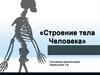 Строение тела человека