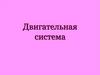 Двигательная система