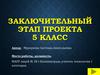 Заключительный этап проекта. 5 класс