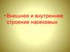 Насекомые. Внешнее и внутреннее строение насекомых
