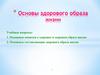 Основы здорового образа жизни