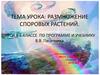 Размножение споровых растений. Урок в 6 классе по программе и учебнику В.В. Пасечника