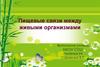 Пищевые связи между живыми организмами