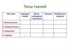 Типы тканей (таблица для домашнего задания)