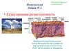 Иммунология  (лекция № 2)