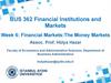 The Money Markets Assoc. Prof